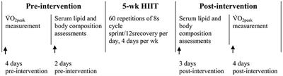 High-Intensity Interval Training in Normobaric Hypoxia Improves Cardiorespiratory Fitness in Overweight Chinese Young Women